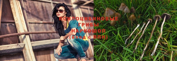 a pvp Абдулино