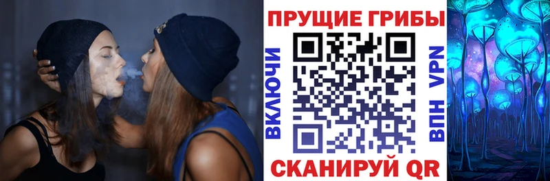 Псилоцибиновые грибы ЛСД  OMG вход  Ак-Довурак 